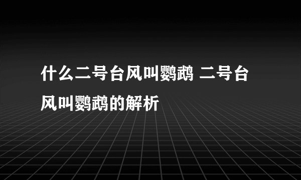 什么二号台风叫鹦鹉 二号台风叫鹦鹉的解析