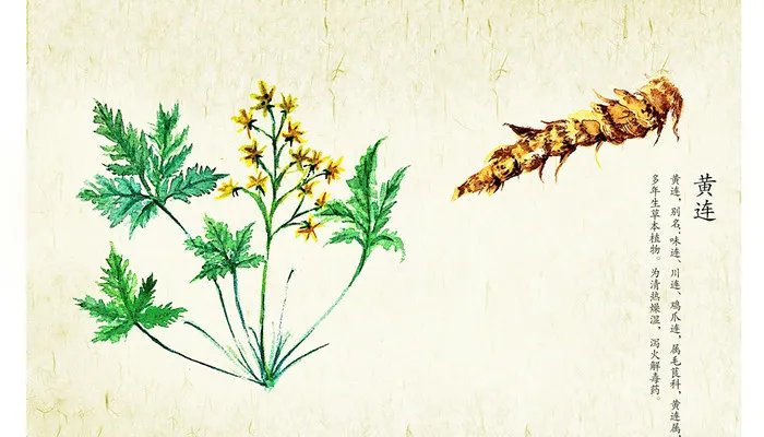 华佗是被谁杀死的