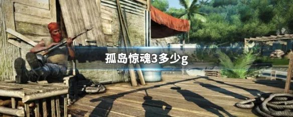 孤岛惊魂3多少g