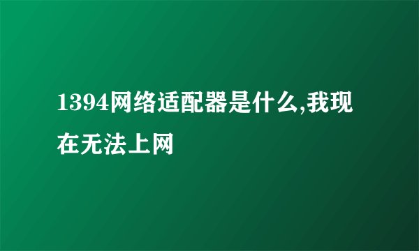 1394网络适配器是什么,我现在无法上网