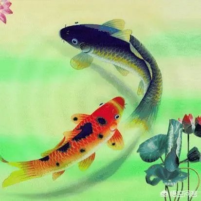 何满贵出：火丁竹龙门市。求三字组成一句话。(上系拆字，难也不难，易也不易)？