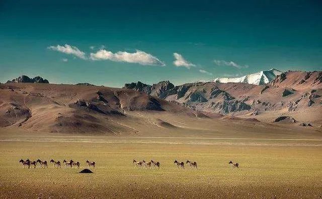 李嘉诚24岁长孙女身价百亿,打扮朴素,为何真正有钱人都懂得低调?