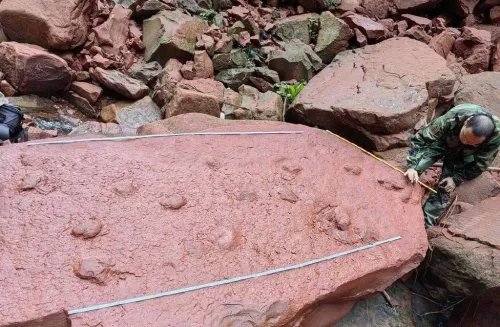 四川10岁男孩发现罕见恐龙足迹 专家证实：是真的