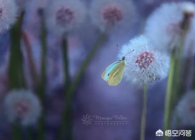 为什么有人说“方舟子总是用对中医片面的认识做科普”？