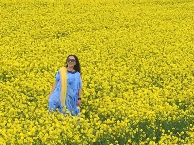 青海门源你去过吗？