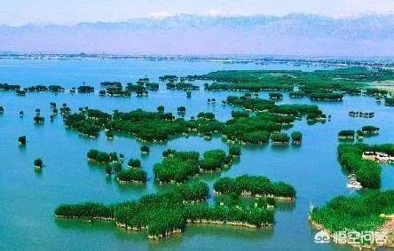 宁夏石嘴山市有几个县？