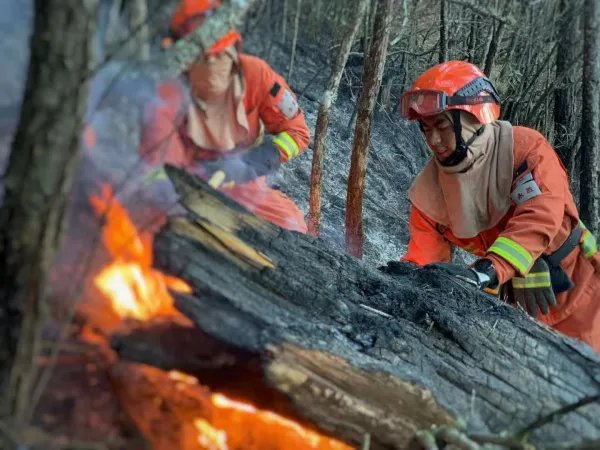 云南香格里拉森林发生火灾,起火的主要原因是什么?
