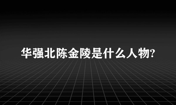 华强北陈金陵是什么人物?