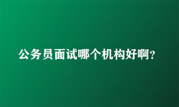 公务员面试哪个机构好啊？