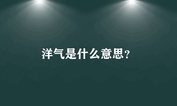 洋气是什么意思？