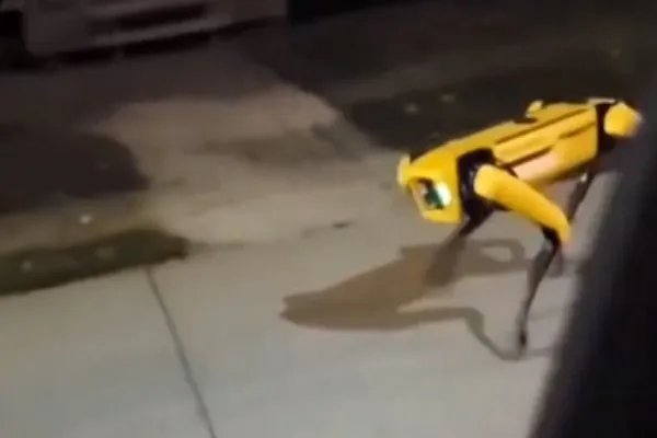 机器狗夜晚独自在街头游荡，现场看到的人是何反应？