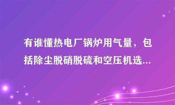 有谁懂热电厂锅炉用气量，包括除尘脱硝脱硫和空压机选型之间关系的啊？求大神指点，谢谢