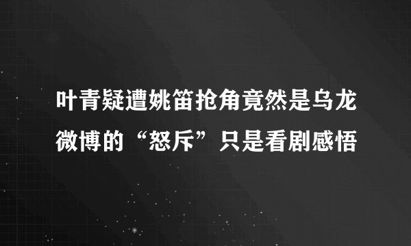 叶青疑遭姚笛抢角竟然是乌龙微博的“怒斥”只是看剧感悟