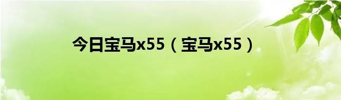 今日宝马x55（宝马x55）