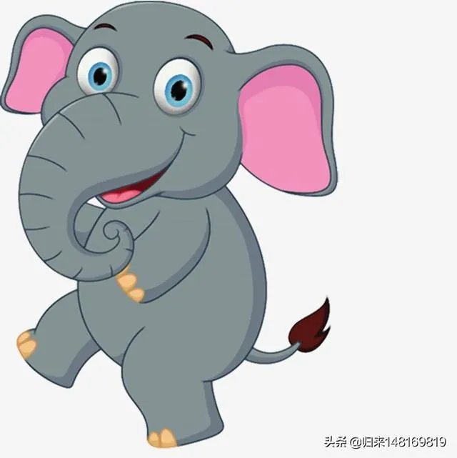 您对肖战设计疑似侵权怎么看？