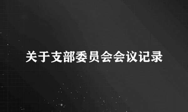关于支部委员会会议记录