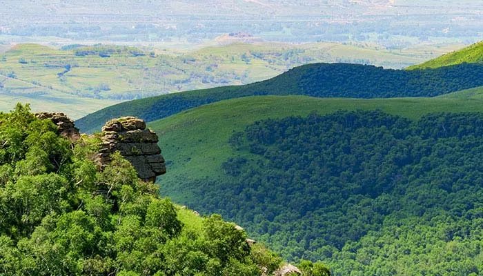 热带雨林气候特点 热带雨林有哪些气候特点