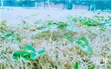 劳务派遣员工被辞退应该怎么赔偿