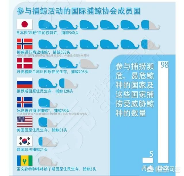 日本退出《全球禁止捕鲸公约》是出于政治目的还只是经济目的？