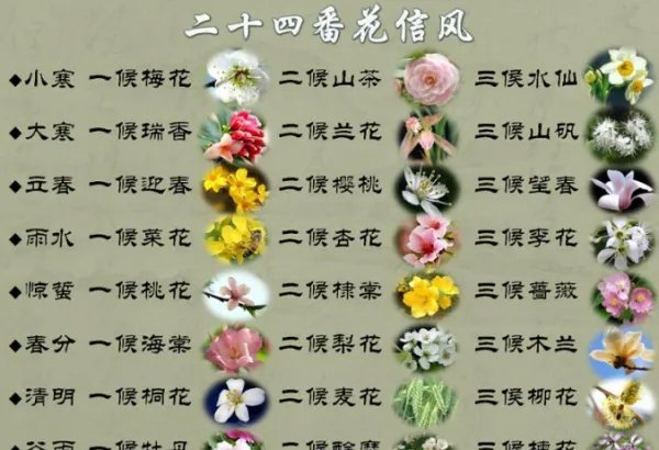二十四番花信风是什么意思？