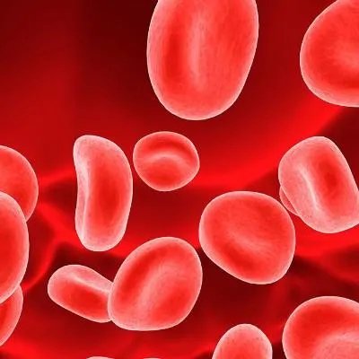 隐血3十是什么意思