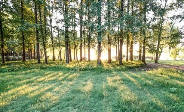 七月流火九月授衣的火是什么意思