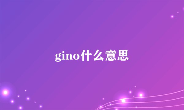 gino什么意思