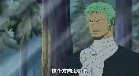 有哪些动漫是你一直坚持看下来的？