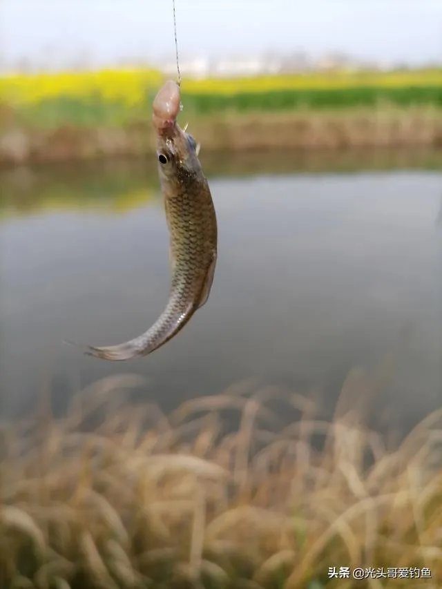 户外钓鱼直播怎么做？