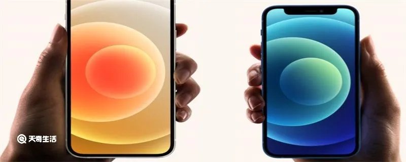 苹果手机序列号查询