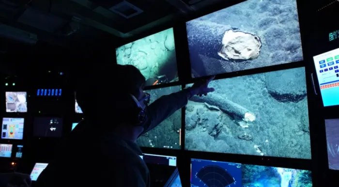 科学家在3000米的水下 发现超10万年的猛犸象象牙