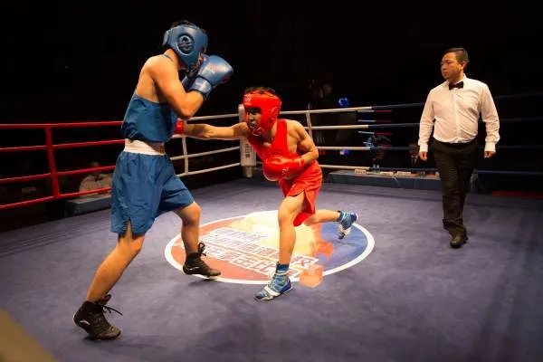 拳击比赛在美国如此受欢迎，是什么原因导致的呢？