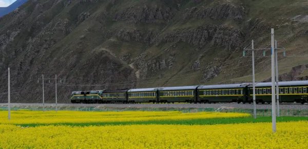 t132次列车途经苏州市哪个站