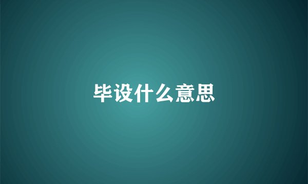 毕设什么意思