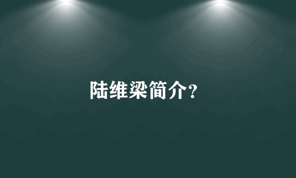 陆维梁简介？