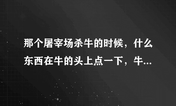 那个屠宰场杀牛的时候，什么东西在牛的头上点一下，牛就晕了还是死了，我不知道，反正那个是什么东西啊