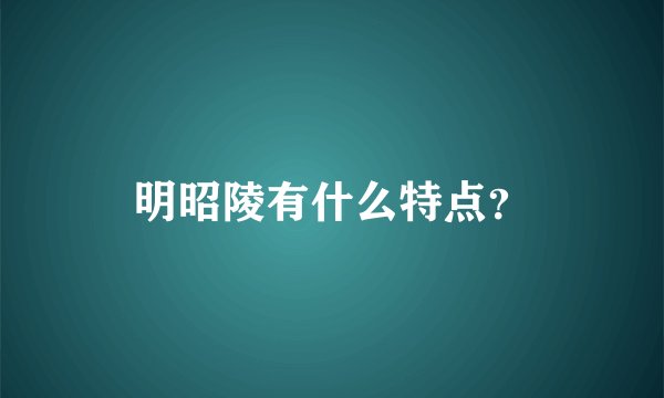 明昭陵有什么特点？