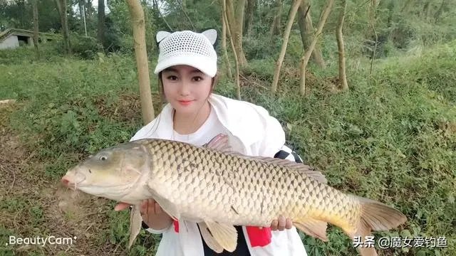 户外钓鱼直播怎么做？