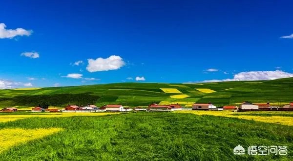 青海门源你去过吗？