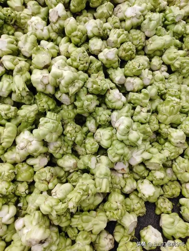 涪陵榨菜什么牌子的好？