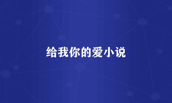 给我你的爱小说