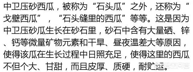 石头瓜是什么瓜?如何种植石头瓜?