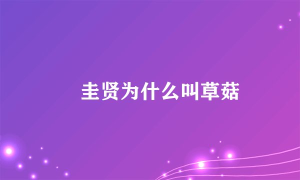 曺圭贤为什么叫草菇