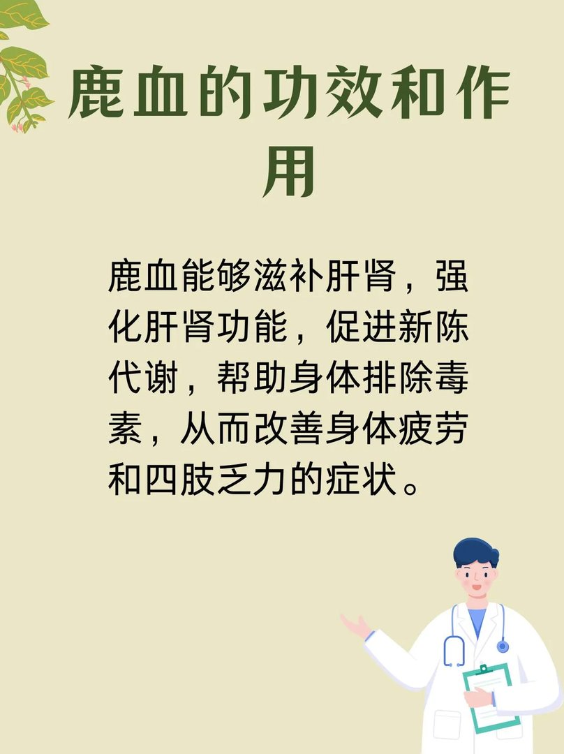 鹿血的功效和作用有哪些?