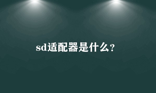 sd适配器是什么？