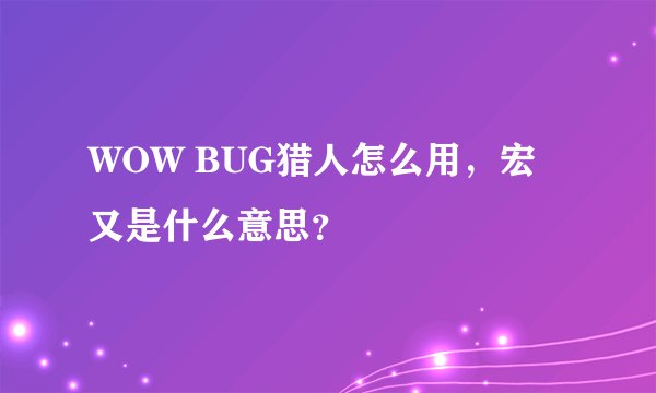 WOW BUG猎人怎么用，宏又是什么意思？