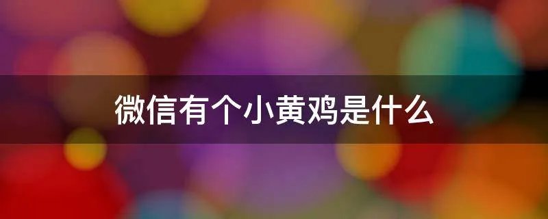 微信有个小黄鸡是什么