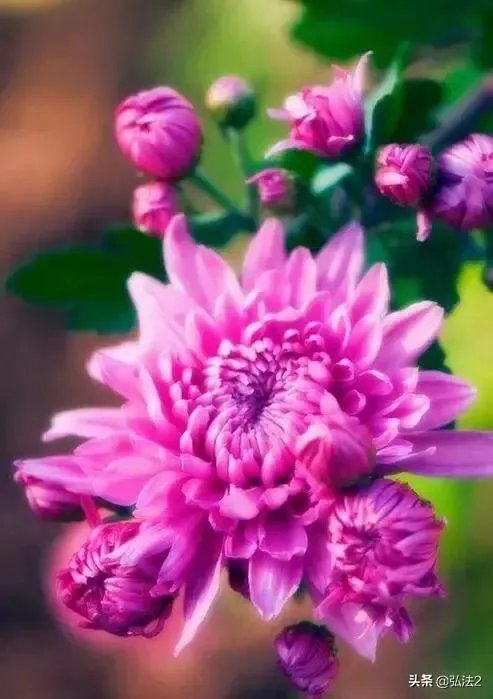 上联:一地方,一江河,看龙腾,听狮吼,希联友赐下联?