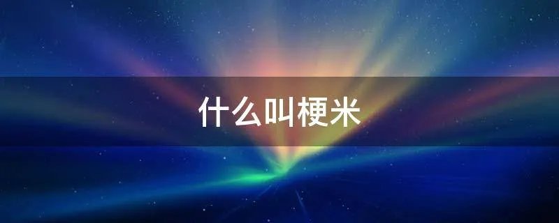 什么叫梗米