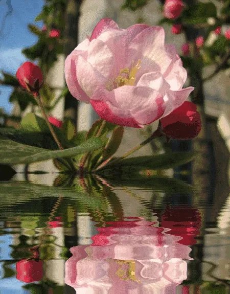 一般中秋都送什么礼物?